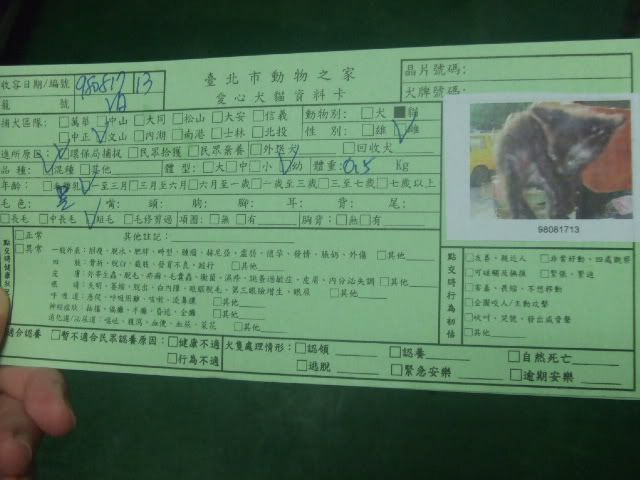 圖檔
