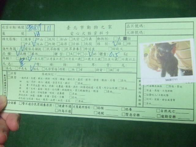 圖檔