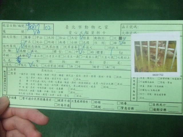 圖檔