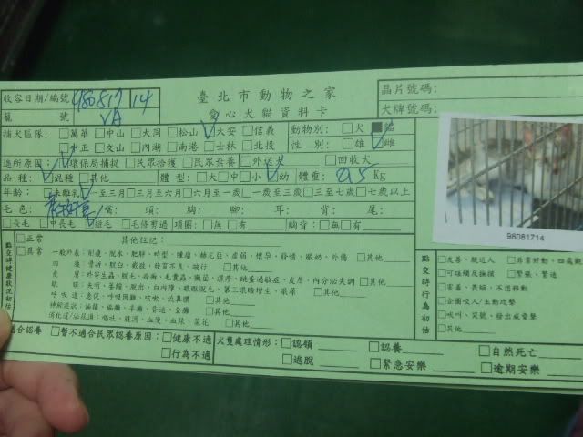 圖檔