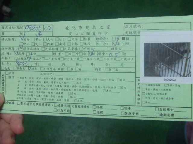 圖檔