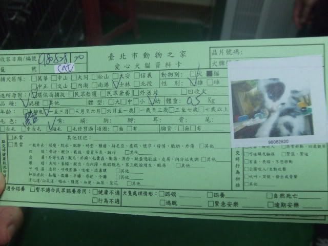 圖檔
