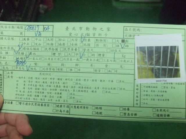 圖檔