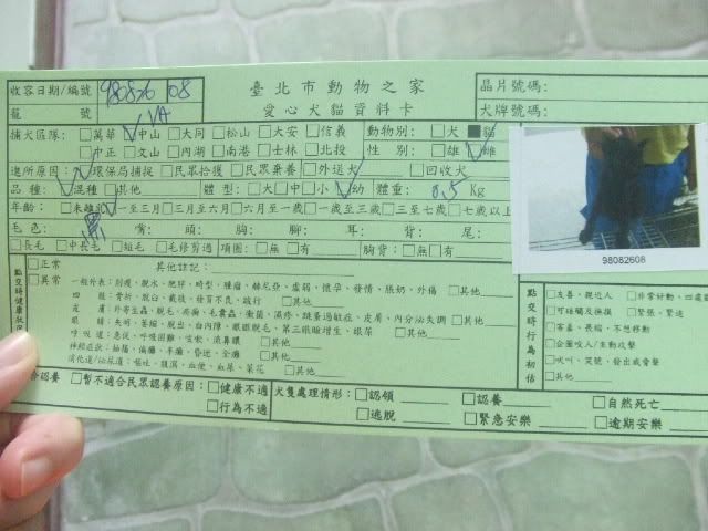 圖檔