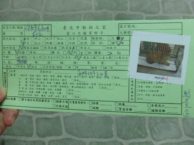 圖檔