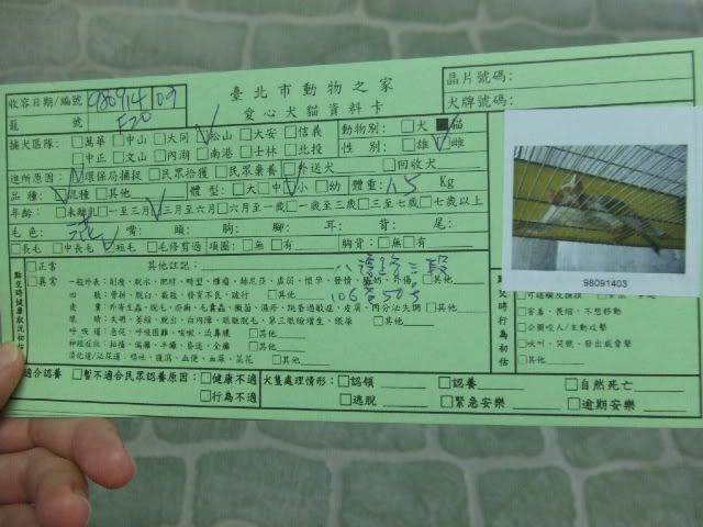 圖檔