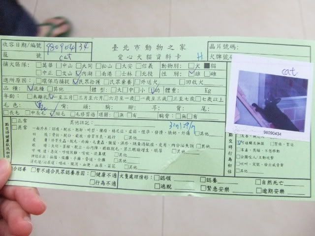 圖檔