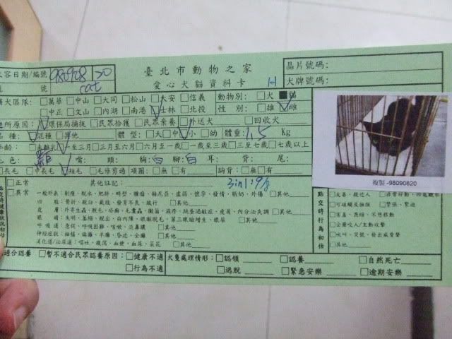 圖檔