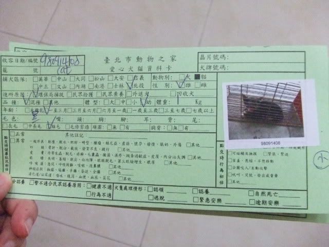 圖檔