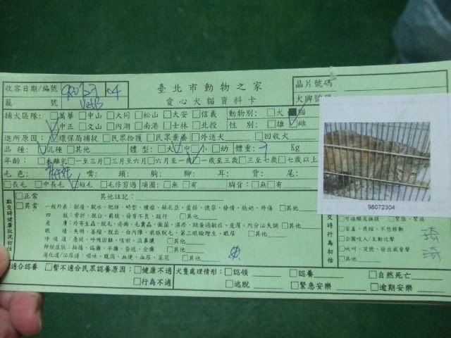 圖檔