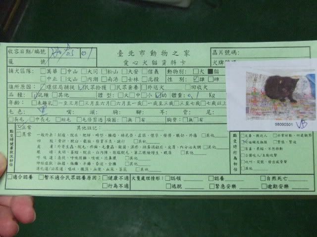 圖檔