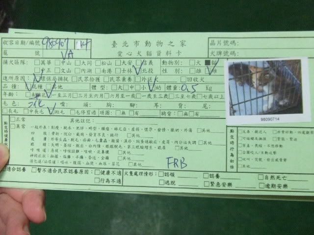 圖檔