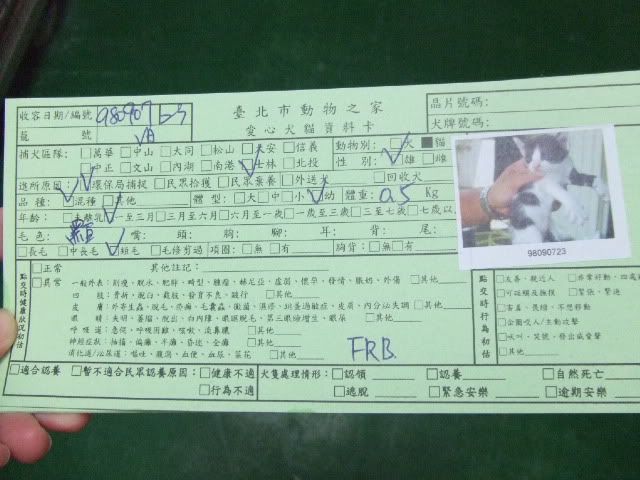 圖檔
