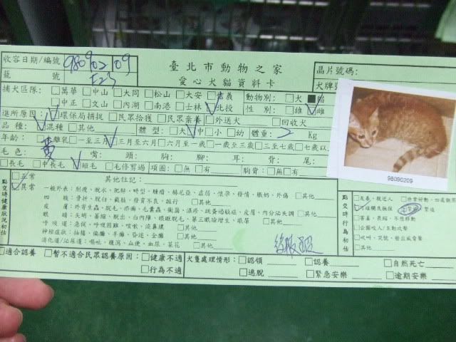 圖檔