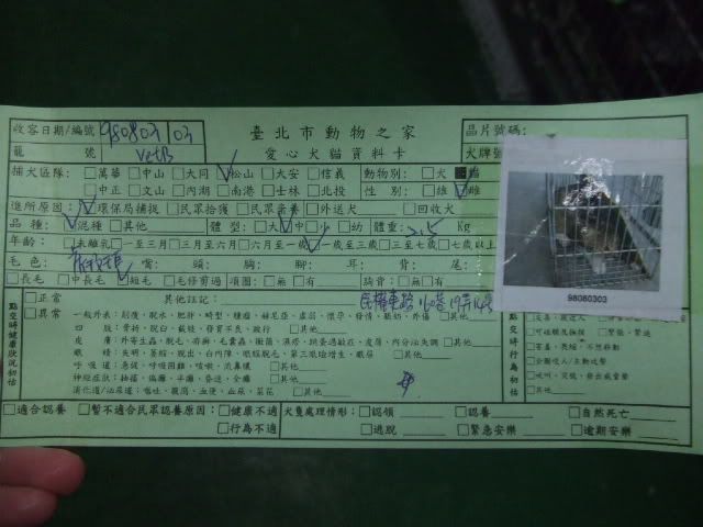 圖檔