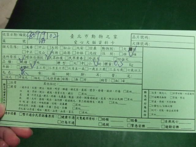 圖檔