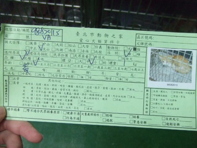 圖檔