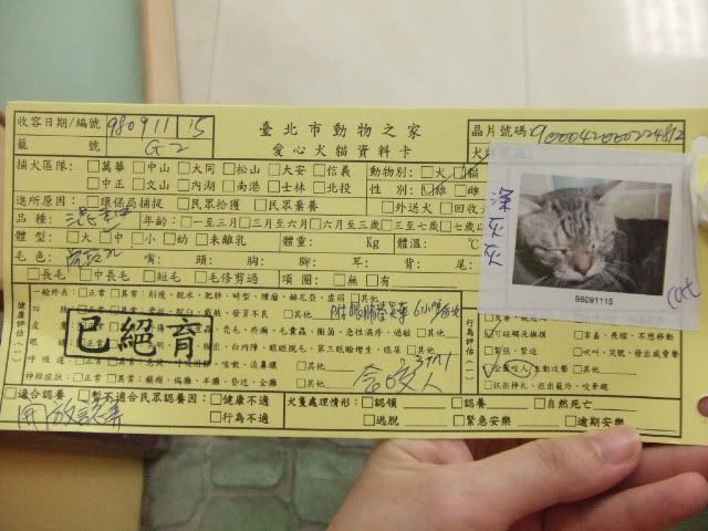 圖檔