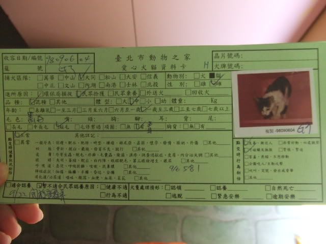 圖檔