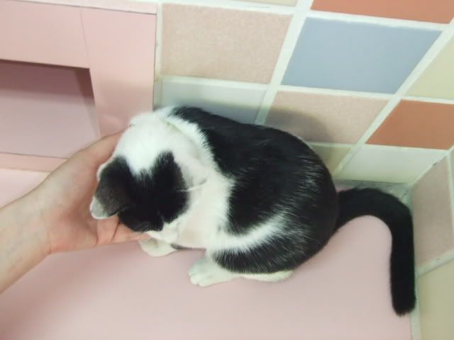圖檔