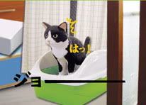 圖檔