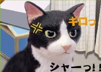 圖檔