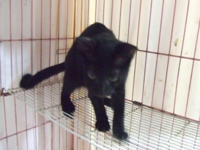 圖檔