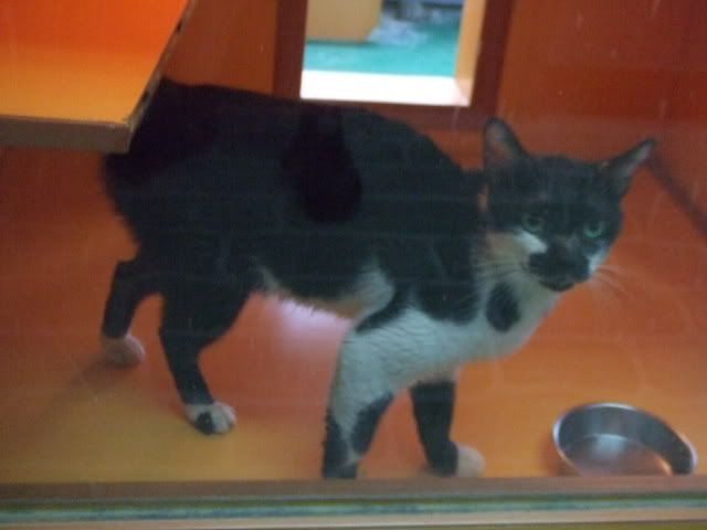 圖檔