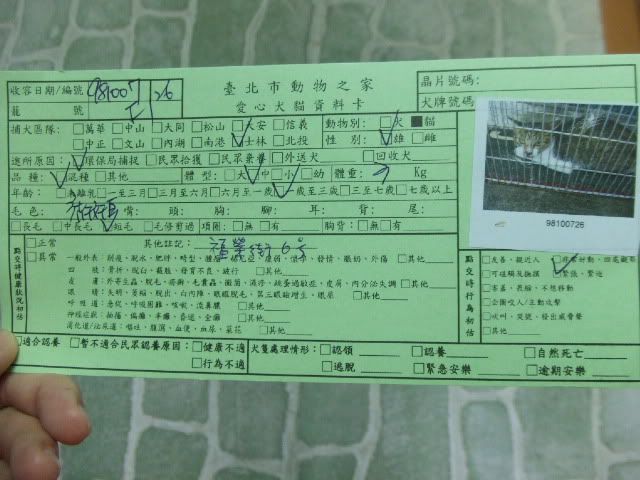 圖檔