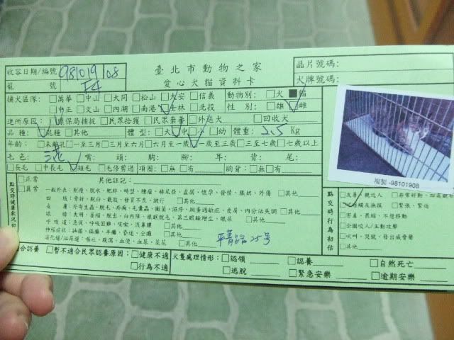圖檔