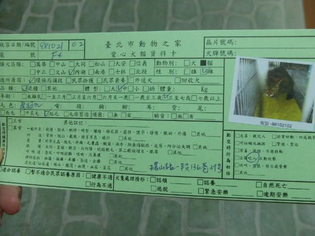 圖檔