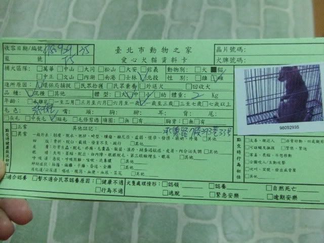 圖檔