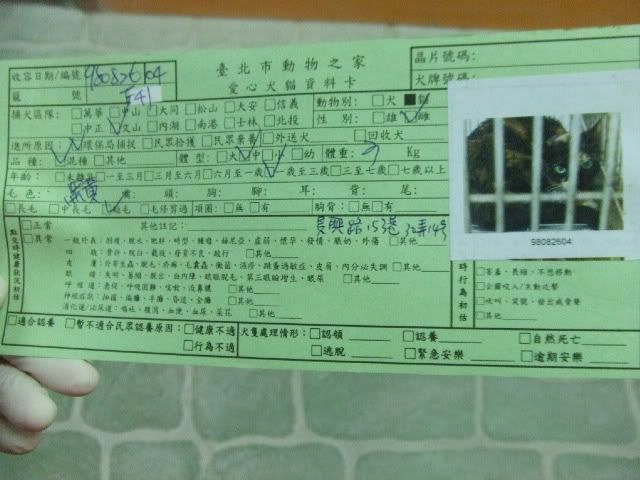 圖檔