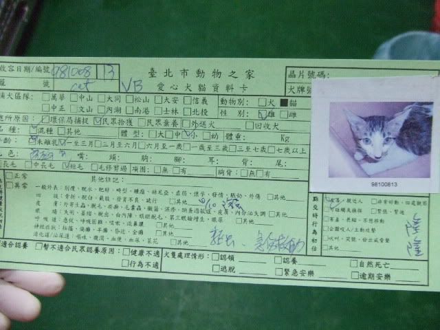 圖檔