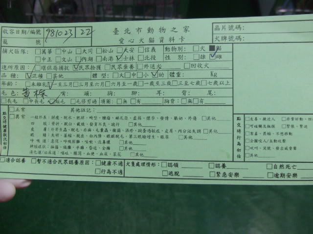 圖檔