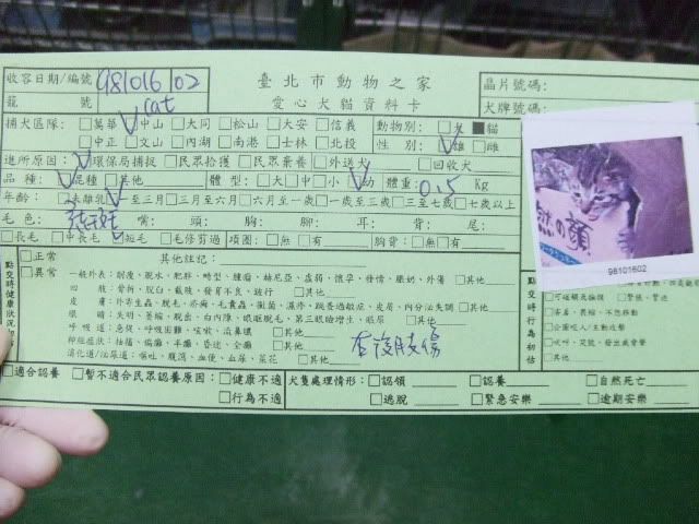 圖檔