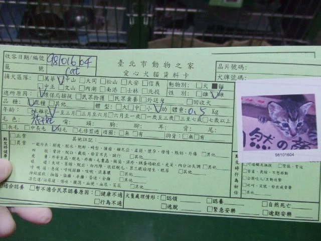 圖檔