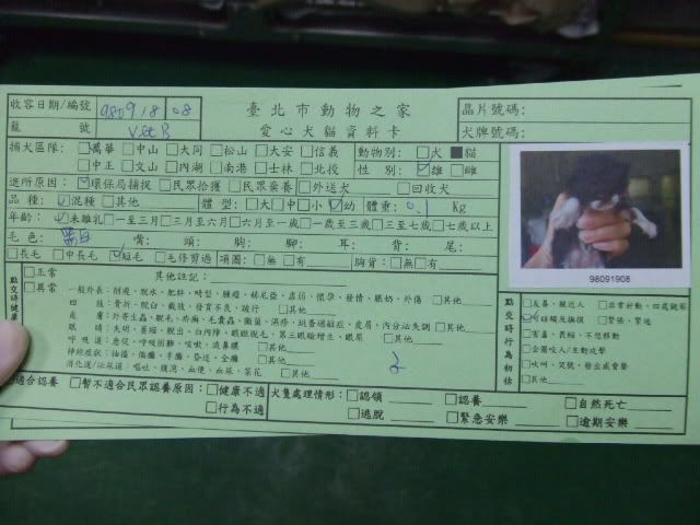 圖檔