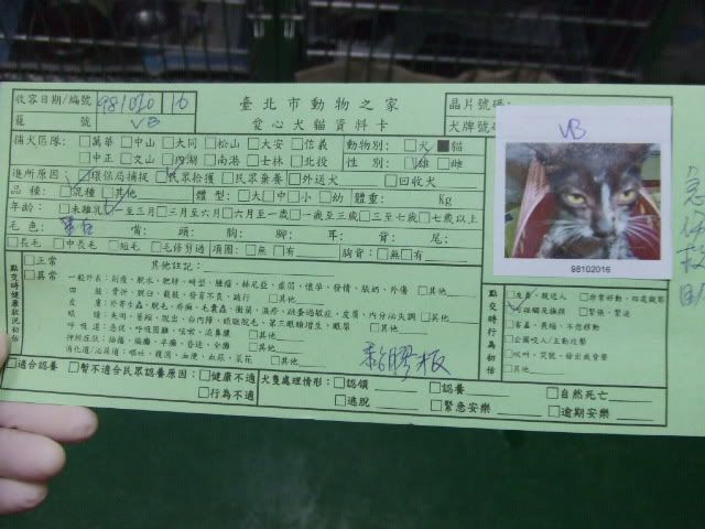 圖檔