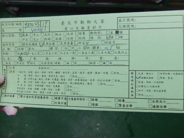圖檔