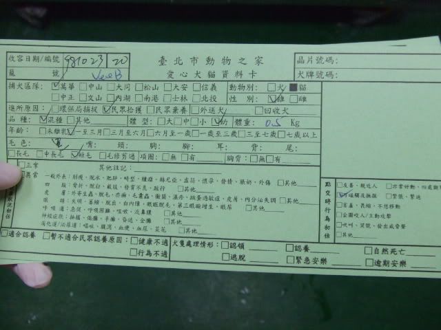 圖檔