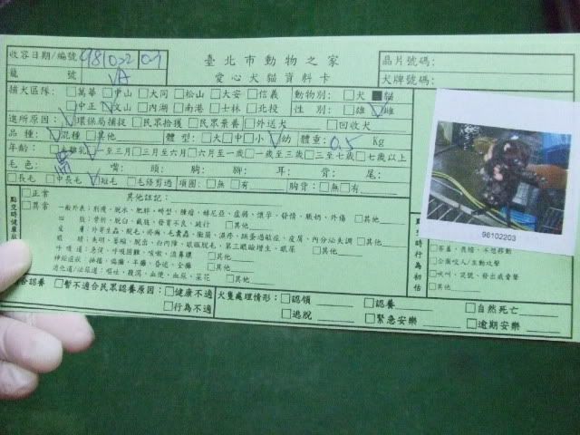圖檔