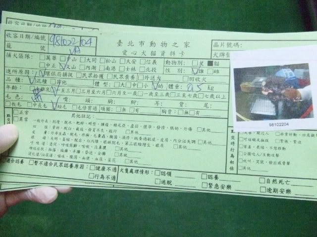 圖檔