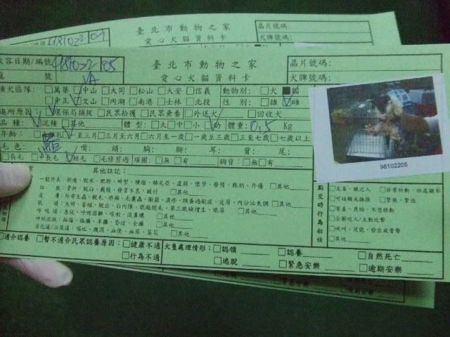 圖檔
