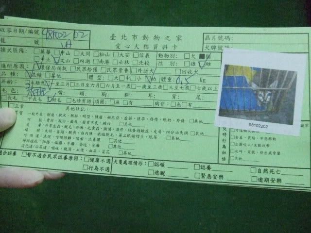 圖檔