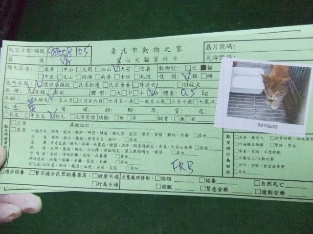 圖檔