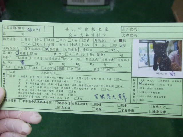 圖檔