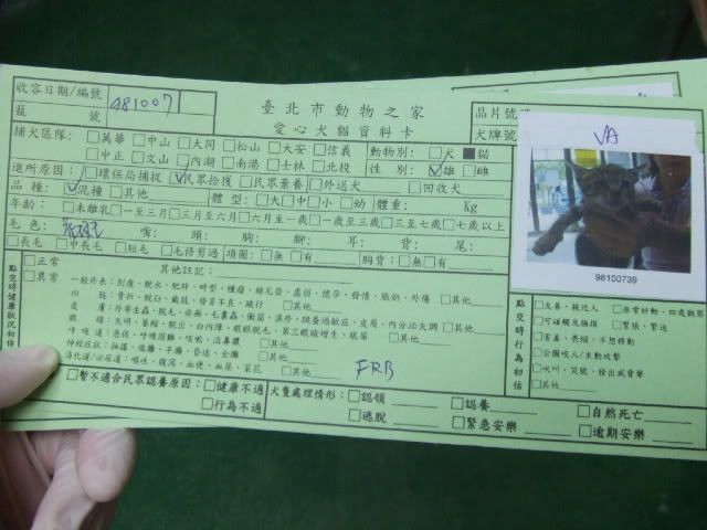 圖檔