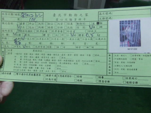 圖檔