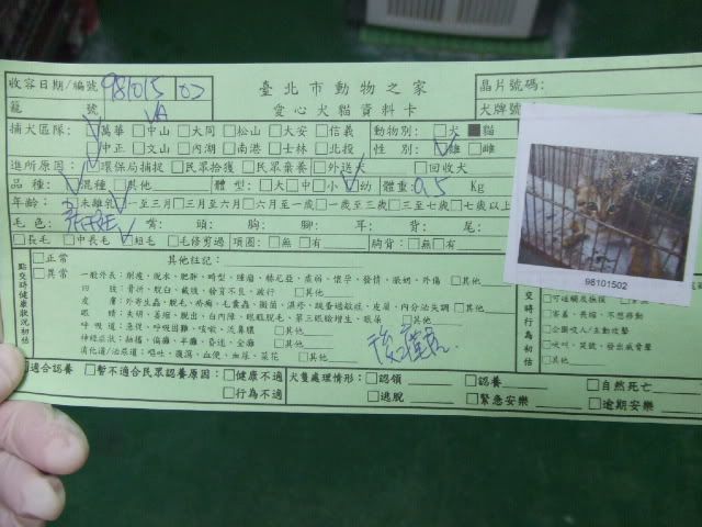 圖檔